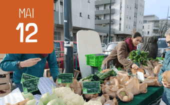 Agenda site internet – vignette(24)